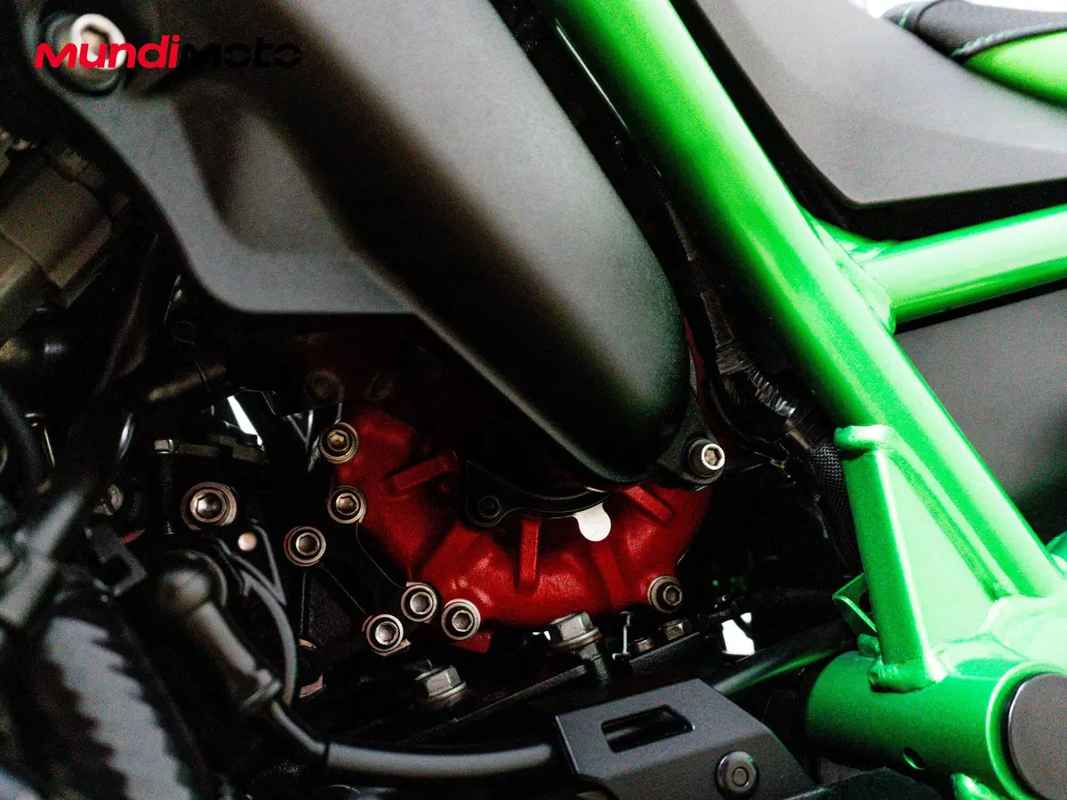 Kawasaki Z H2 (2020) (29)