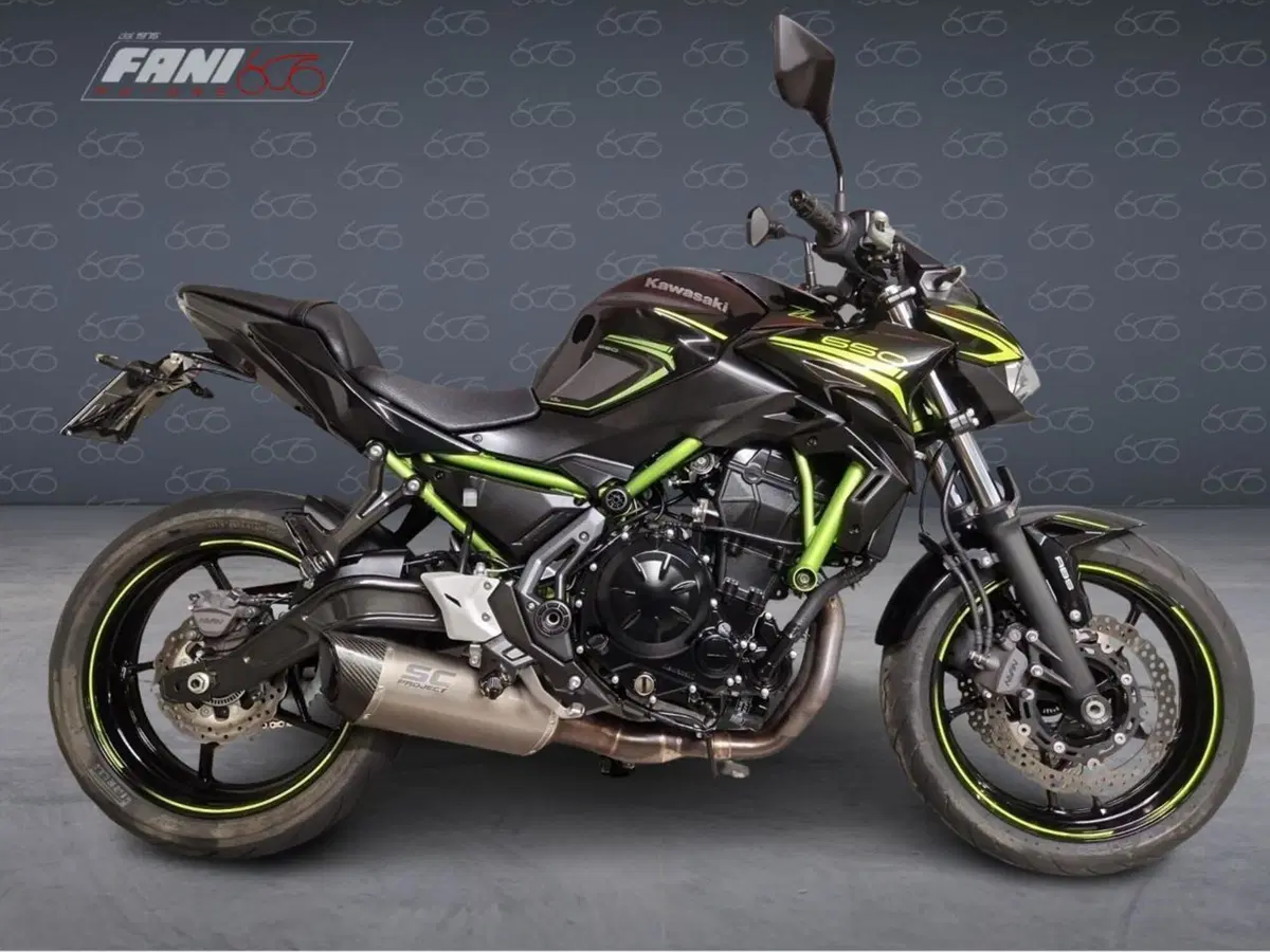 Kawasaki Z 650 (2020)