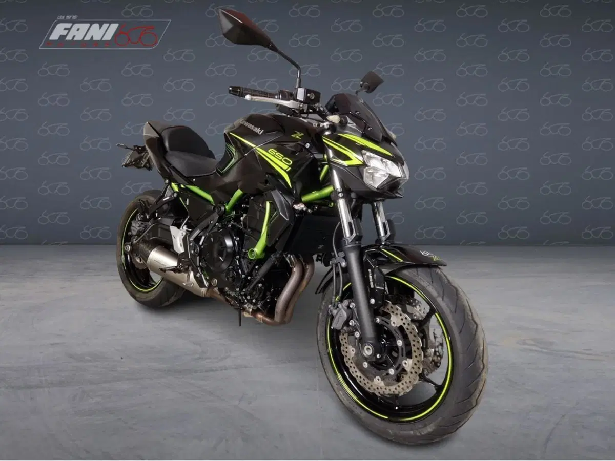 Kawasaki Z 650 (2020) (2)