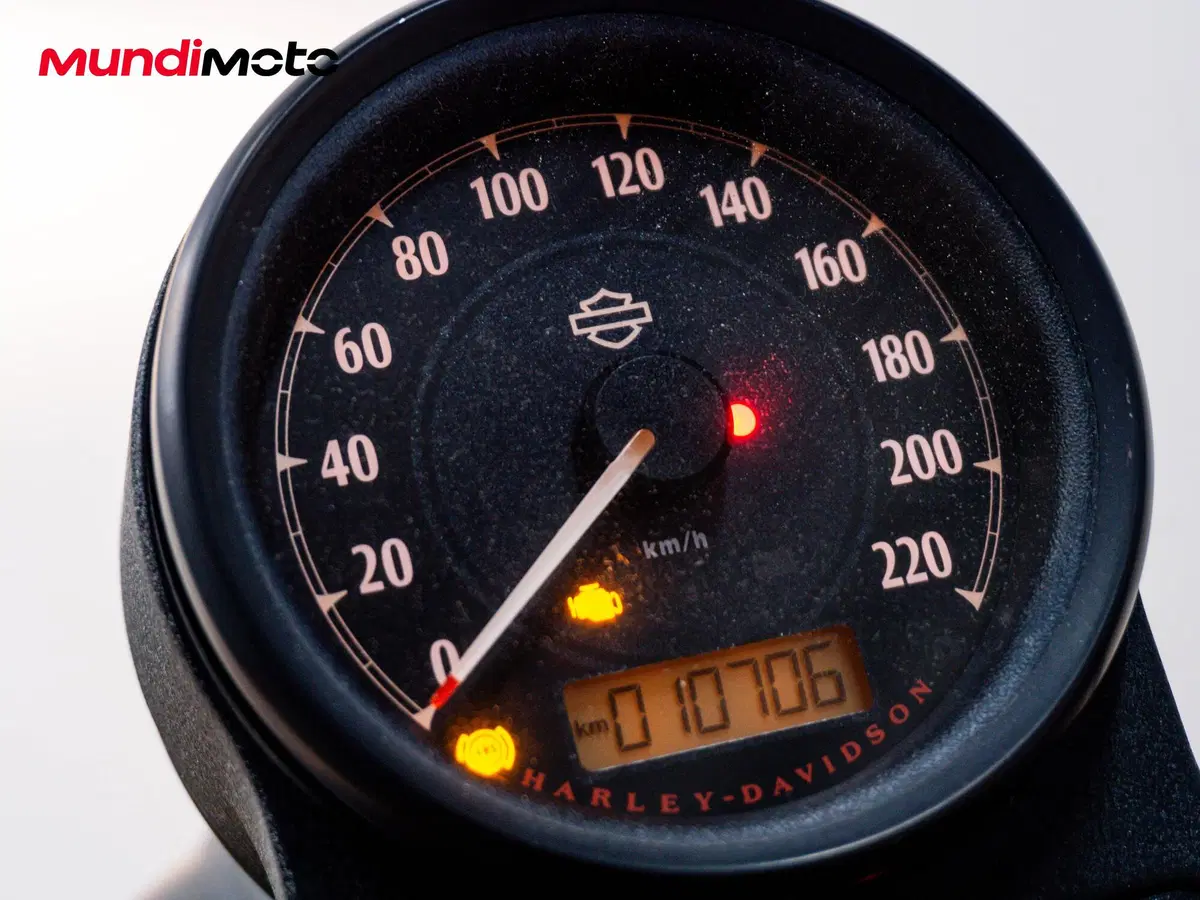 Harley-Davidson 883 Standard (2001 - 05) - XL 883 (12)