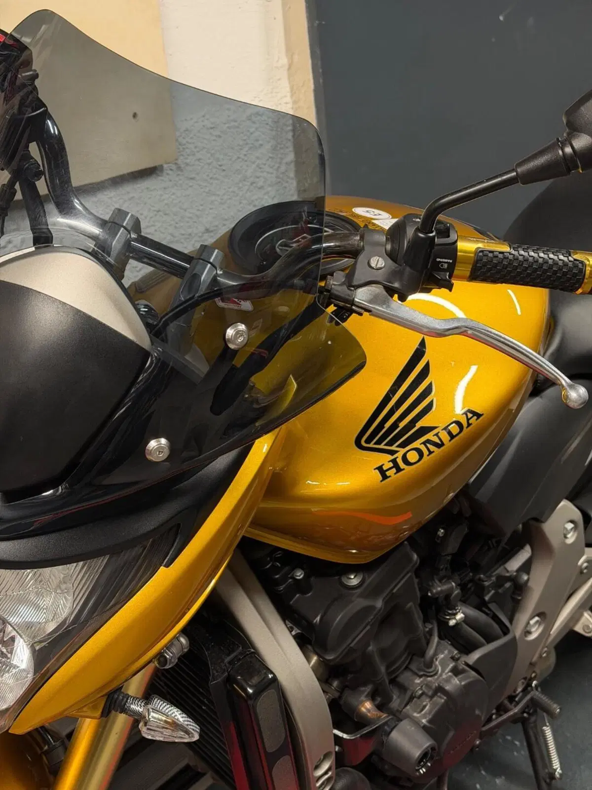 Honda Hornet 600 (2007 - 10) (3)