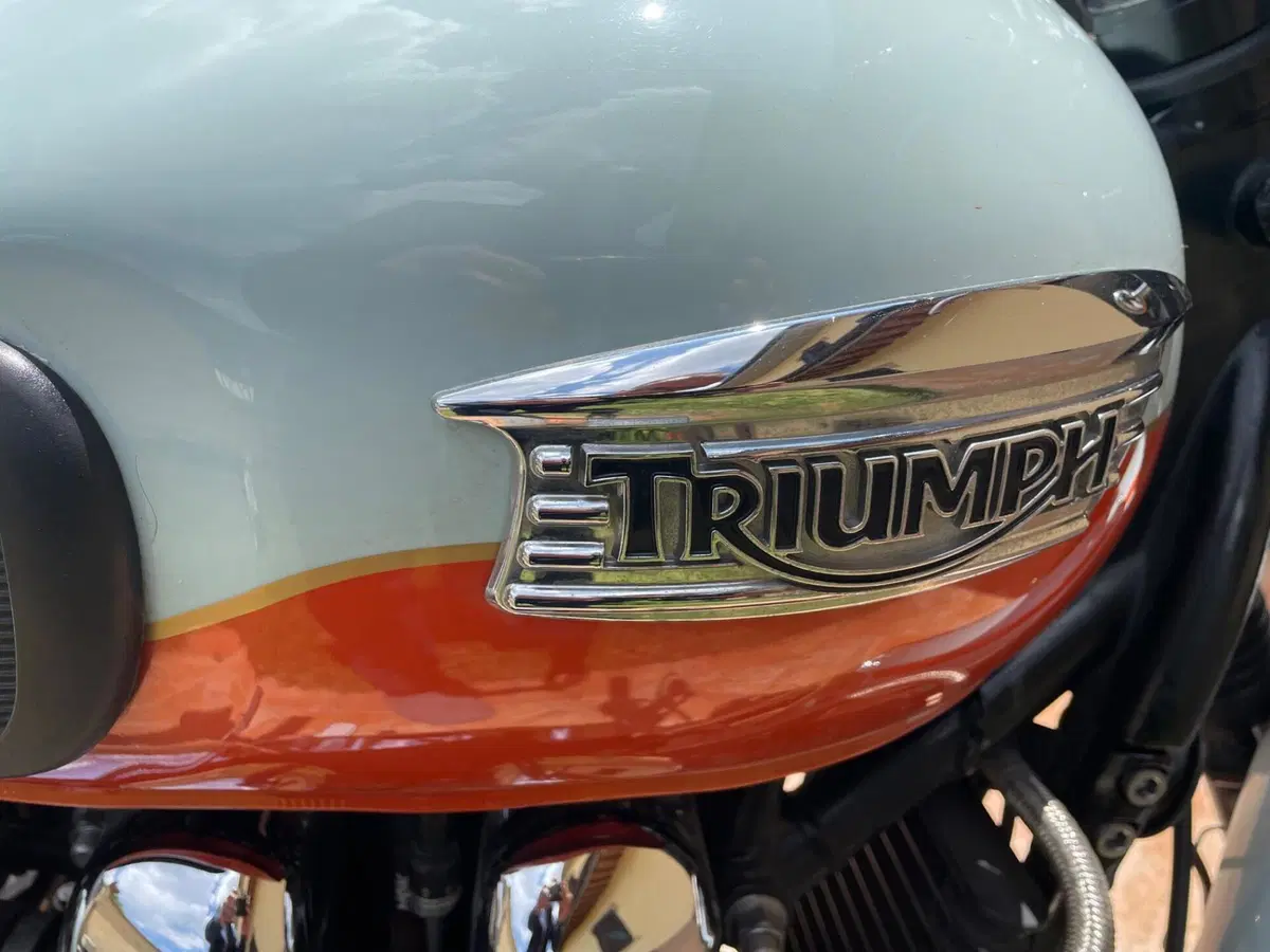 Triumph Bonneville T100 (2008 - 16) (6)