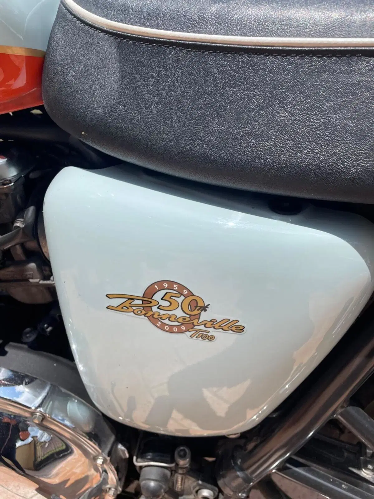 Triumph Bonneville T100 (2008 - 16) (11)