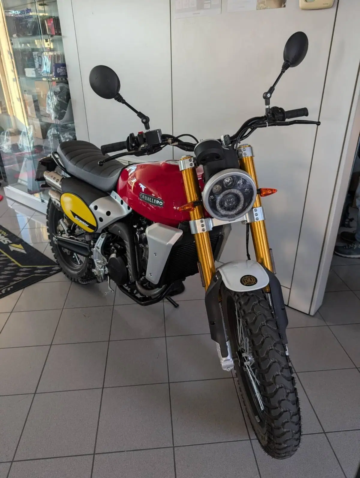Fantic Motor Caballero 250 Scrambler 4T (2018 - 21) (3)