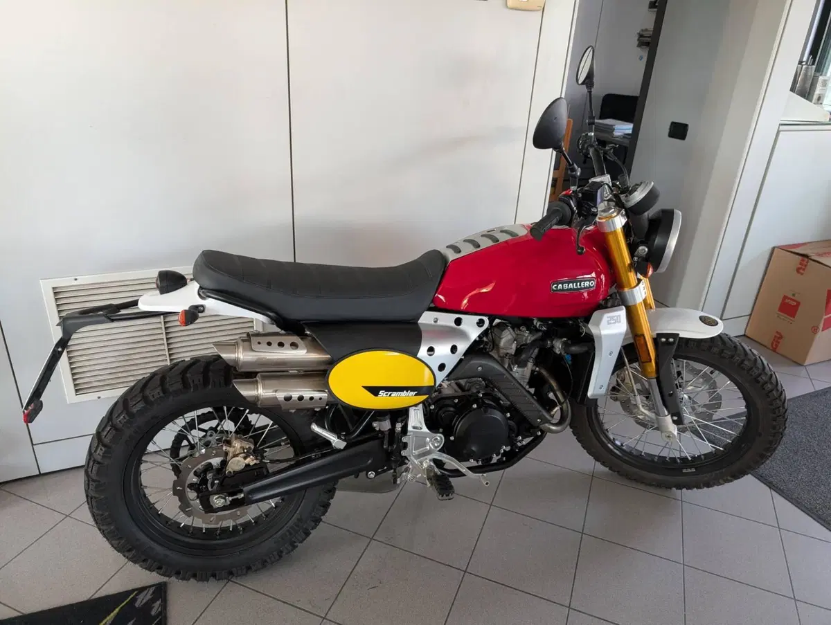 Fantic Motor Caballero 250 Scrambler 4T (2018 - 21) (4)