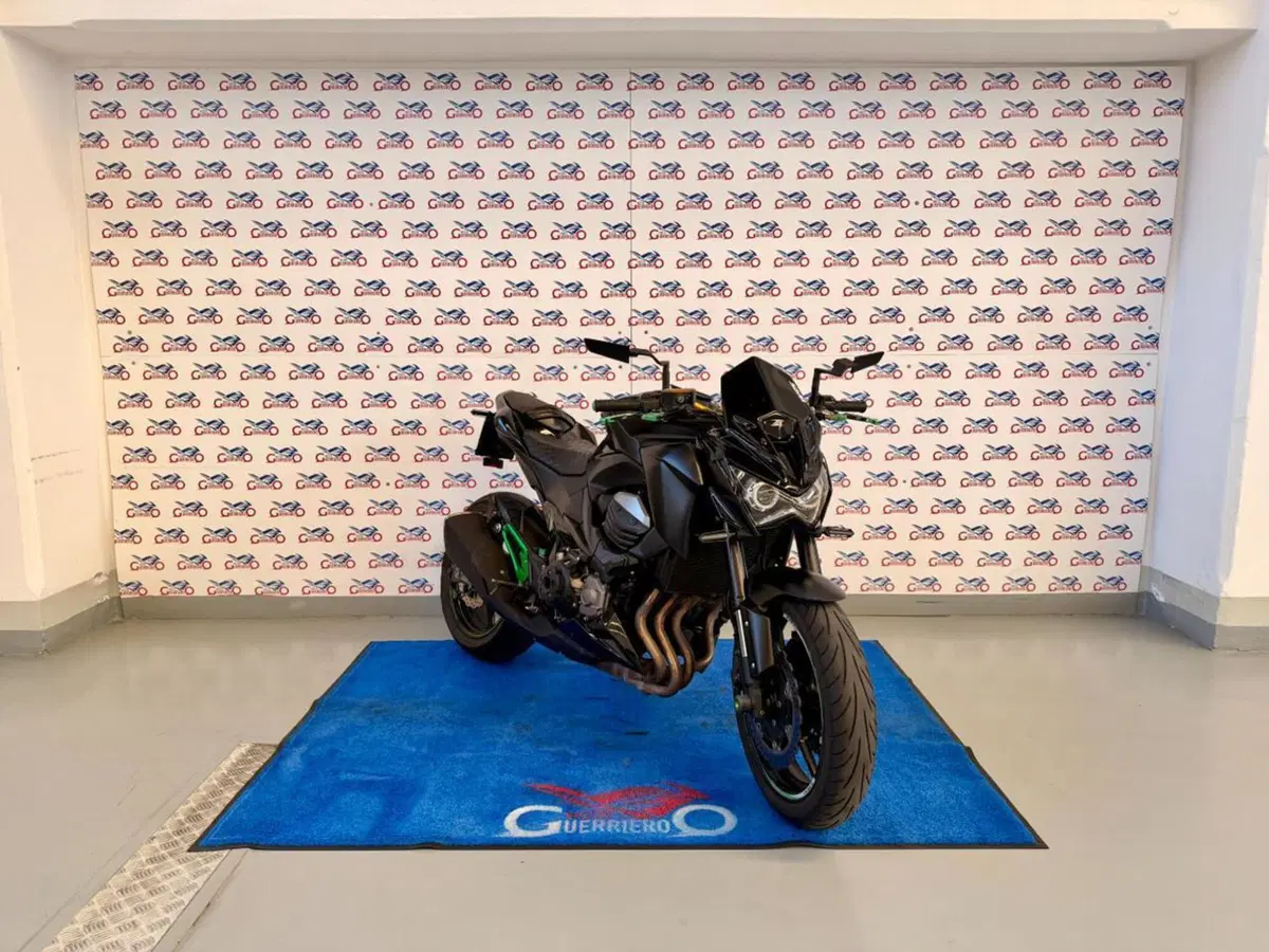Kawasaki Z 800 ABS (2012 - 16) (2)
