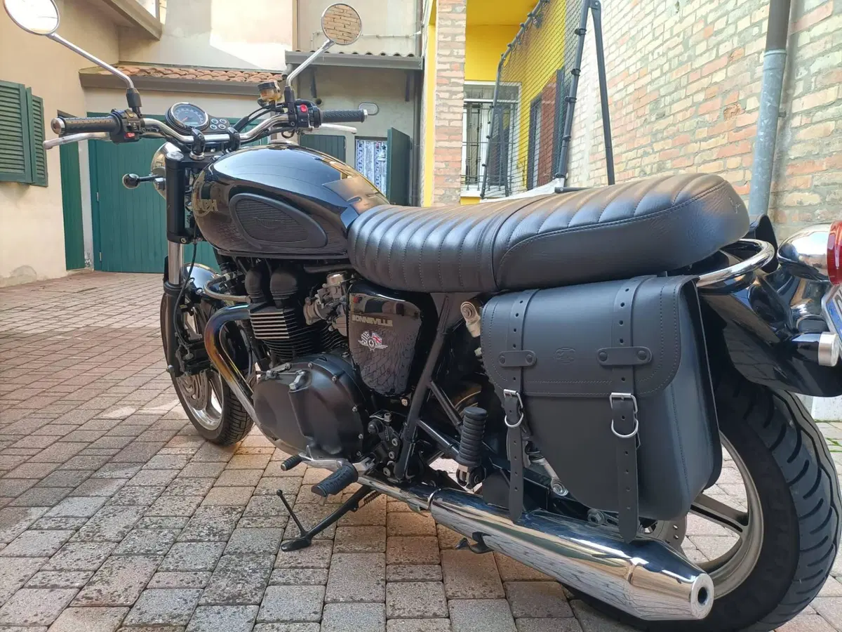 Triumph Bonneville T100 (2008 - 16) (2)