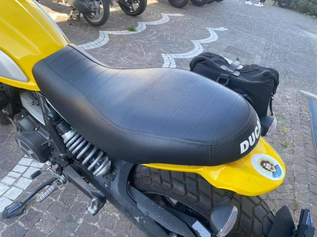 Ducati Scrambler 800 Icon (2015 - 16) (6)