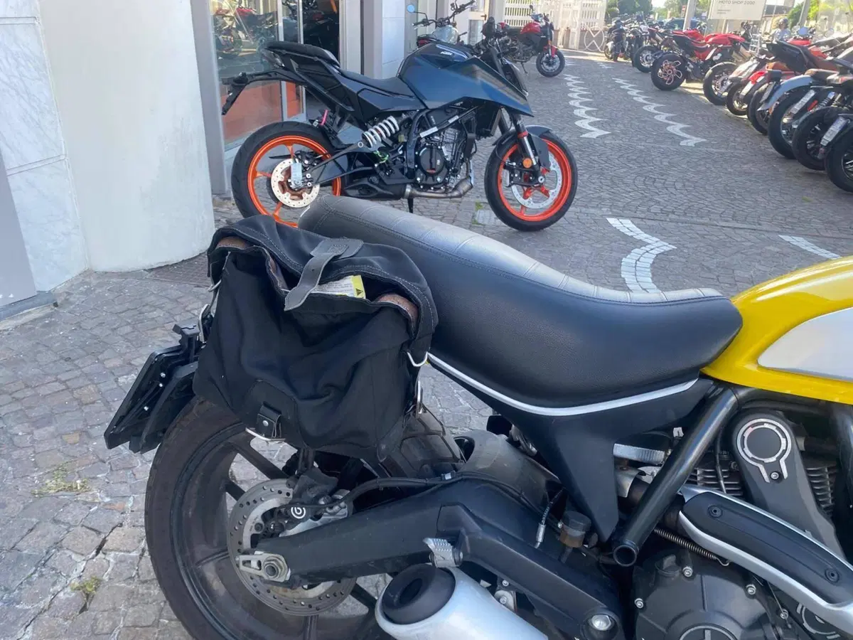 Ducati Scrambler 800 Icon (2015 - 16) (8)