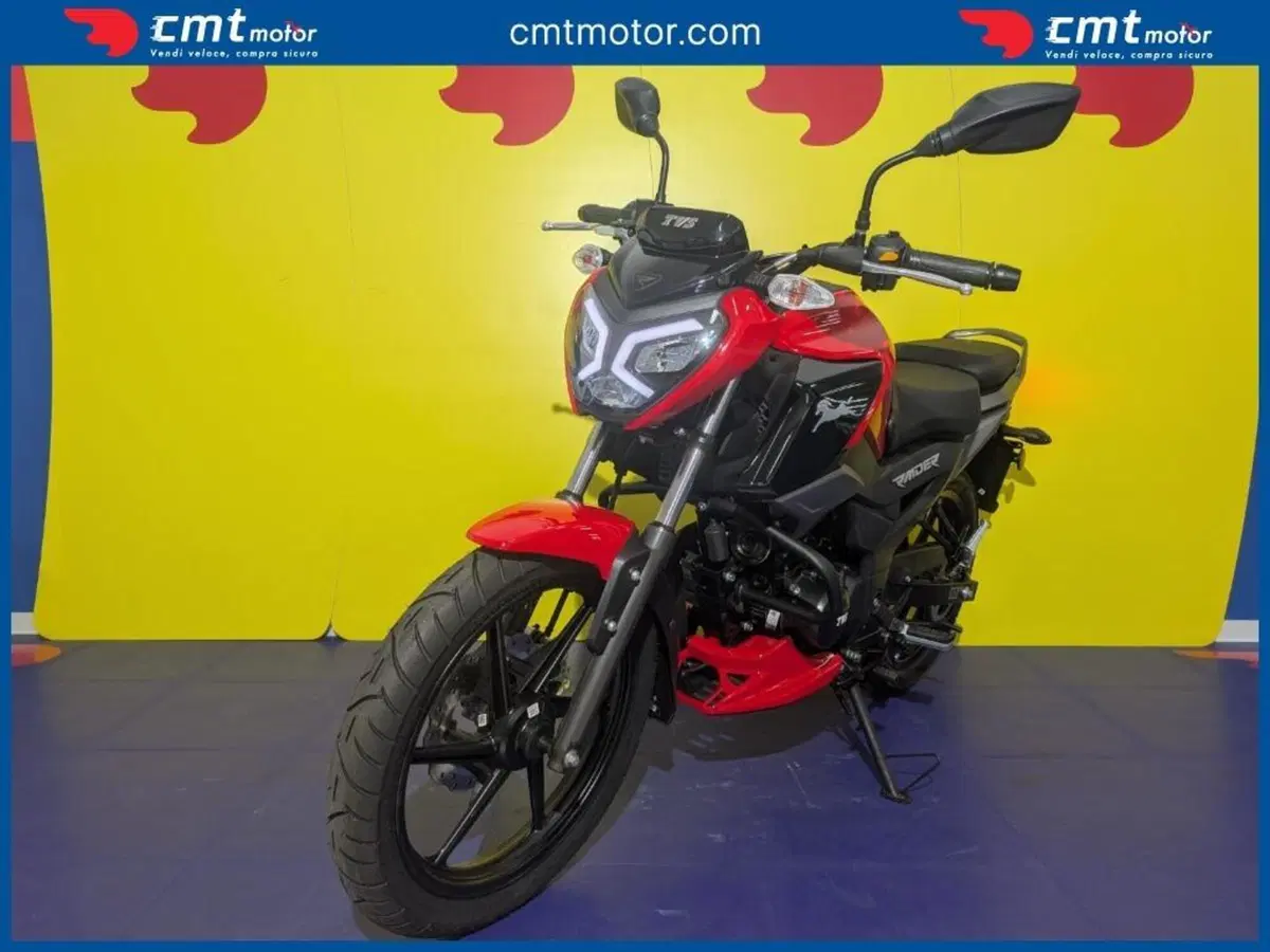 TVS Motor Raider 125 (2024 - 26) (2)