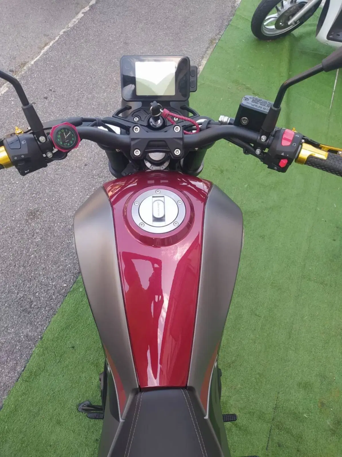 Benelli Leoncino 250 (2021 - 25) (9)
