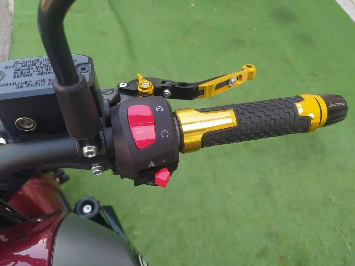 Benelli Leoncino 250 (2021 - 25) (11)