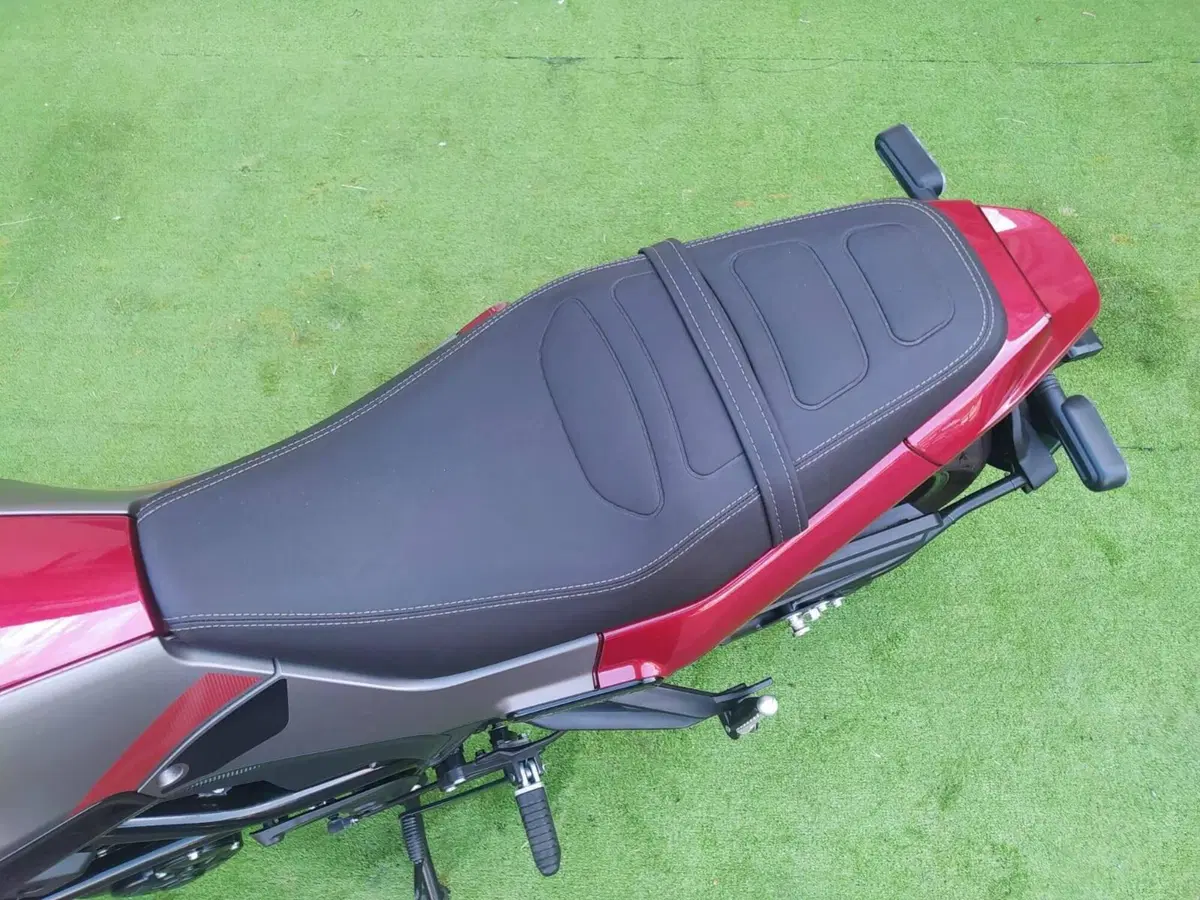 Benelli Leoncino 250 (2021 - 25) (8)