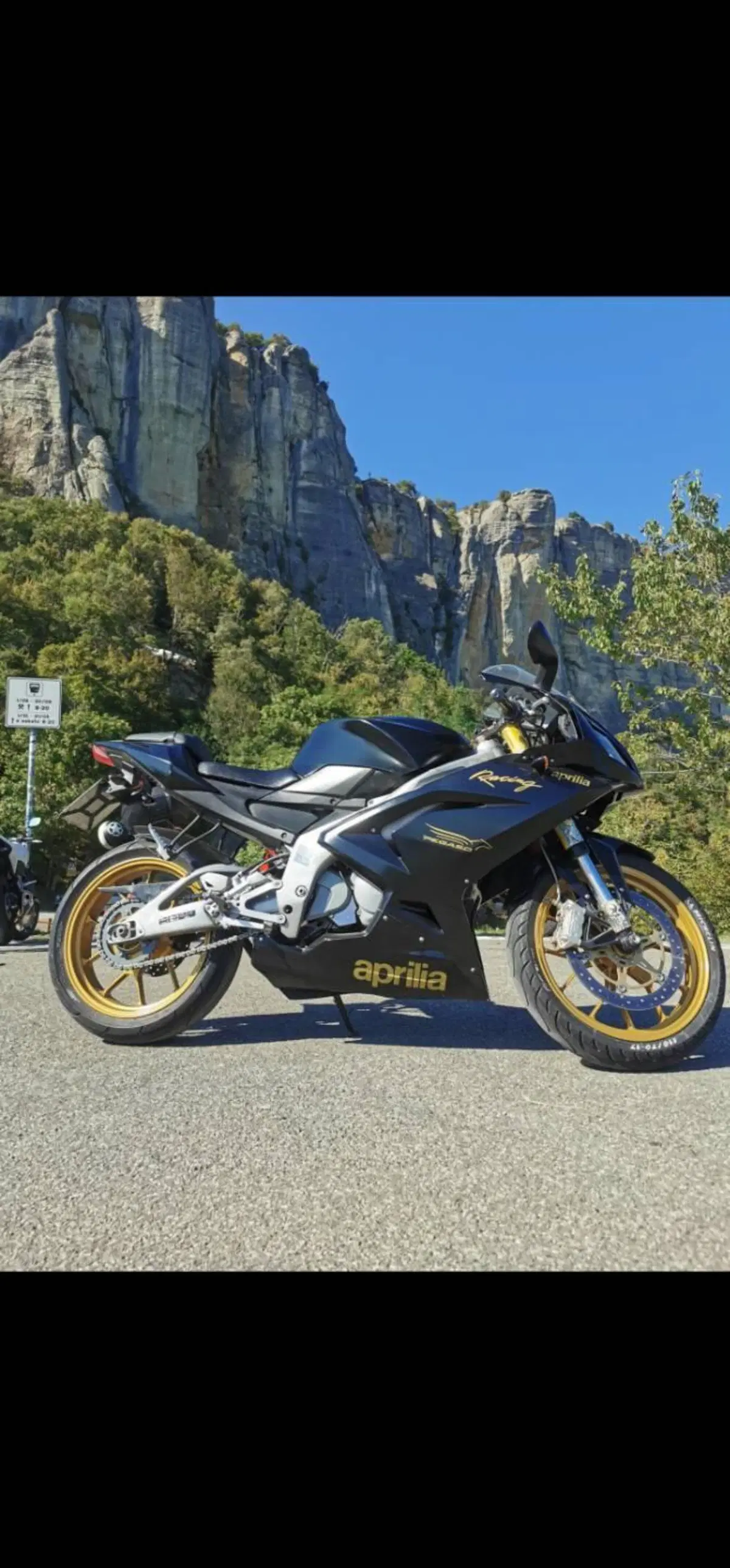 Aprilia RS 125 (2006 - 14) (2)