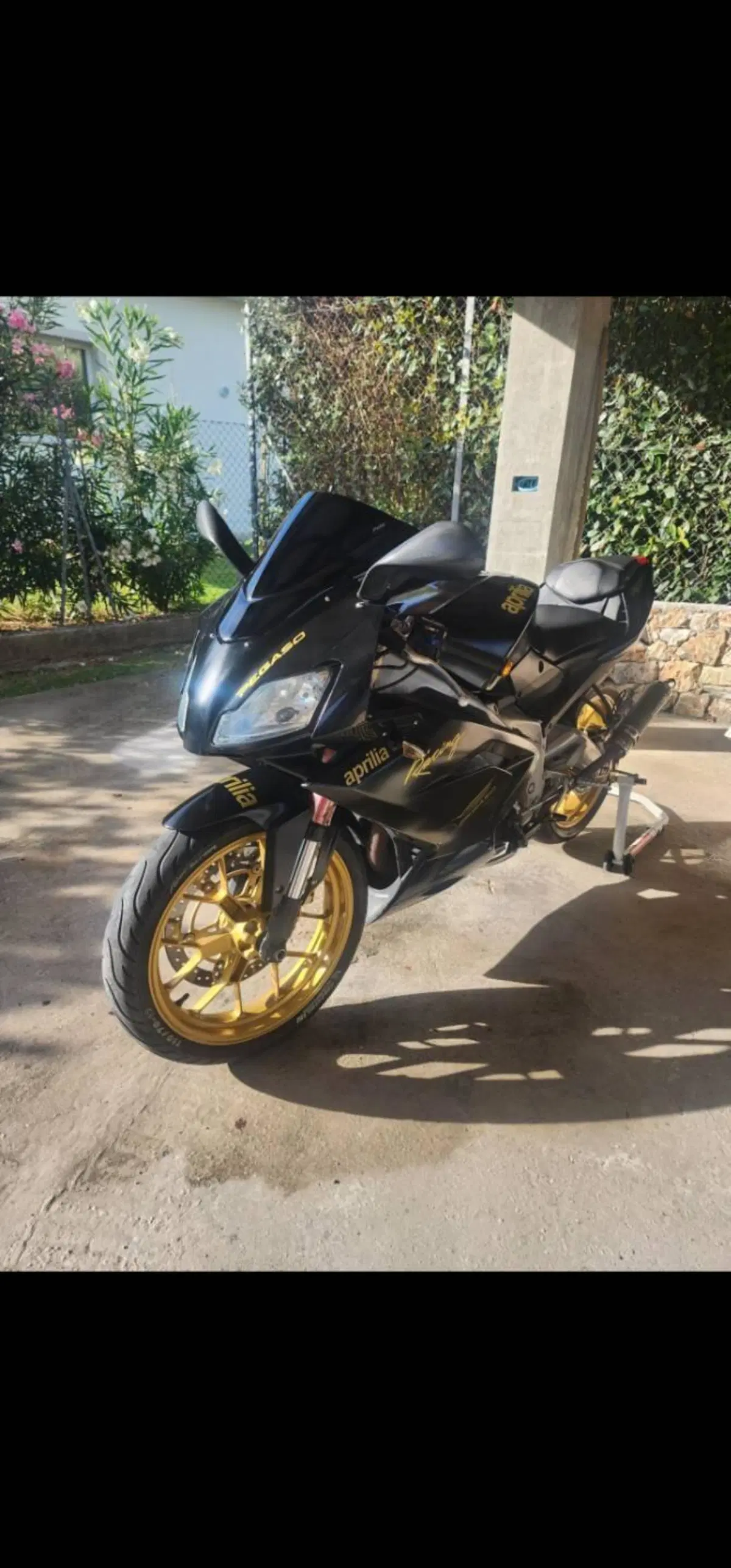 Aprilia RS 125 (2006 - 14) (4)