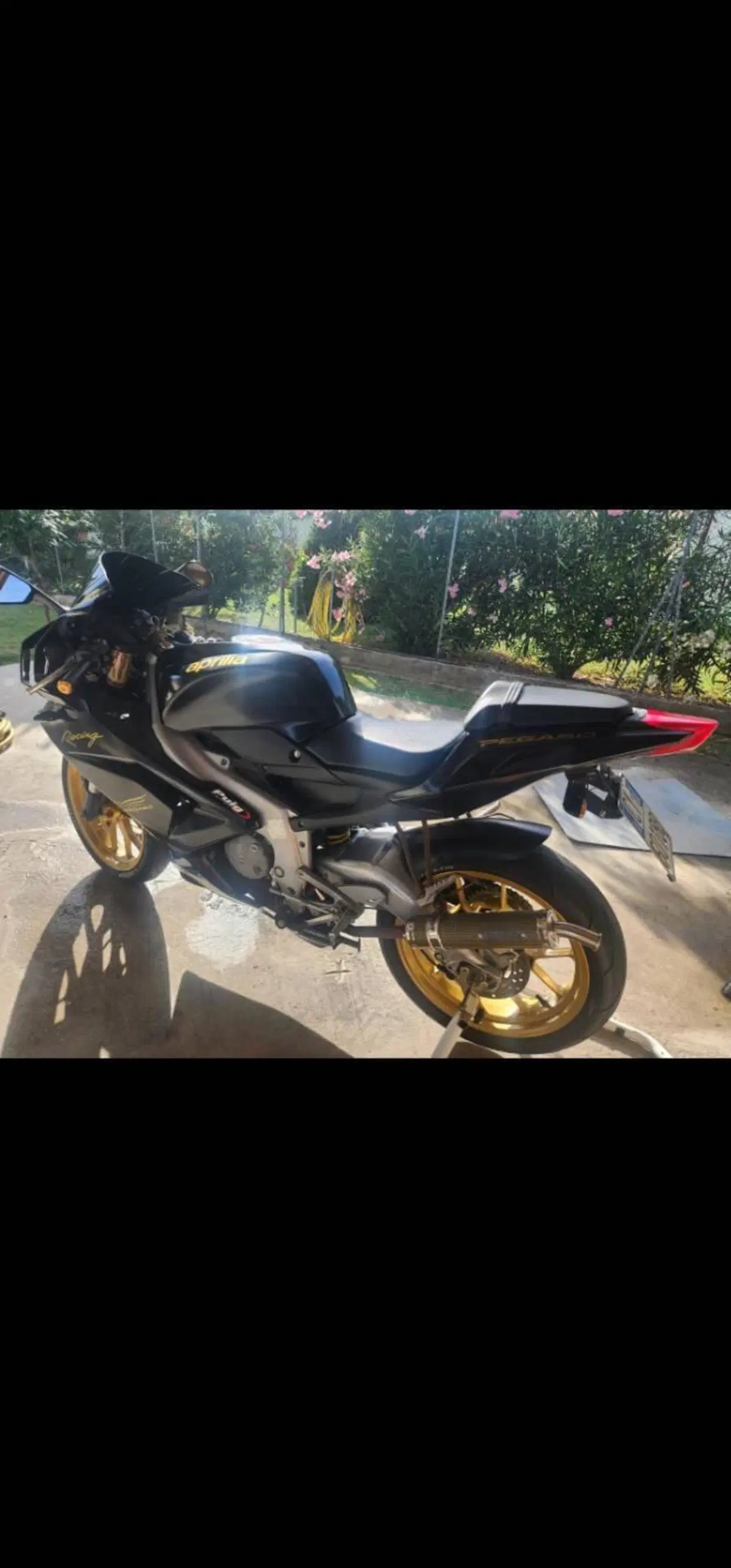 Aprilia RS 125 (2006 - 14) (5)
