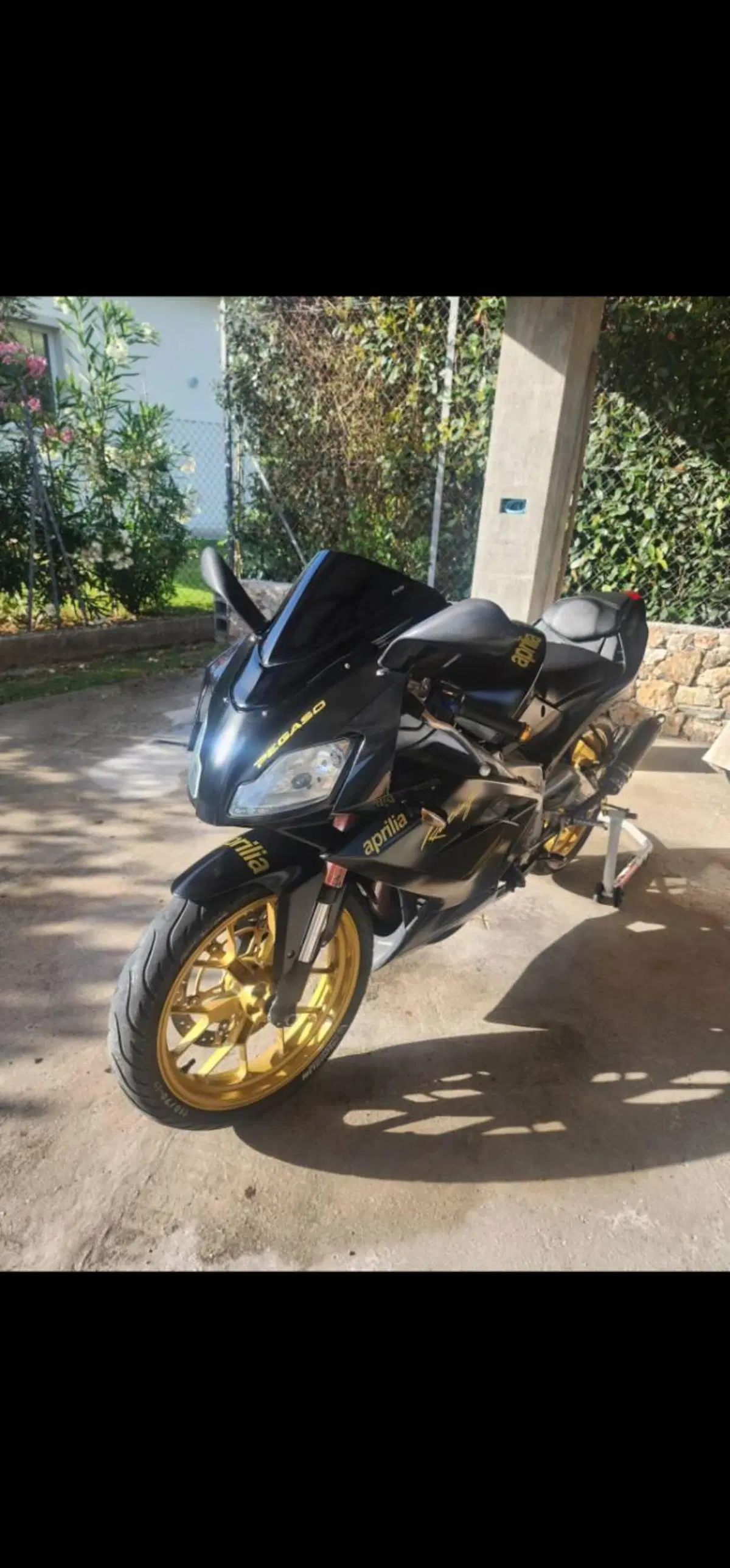 Aprilia RS 125 (2006 - 14) (10)
