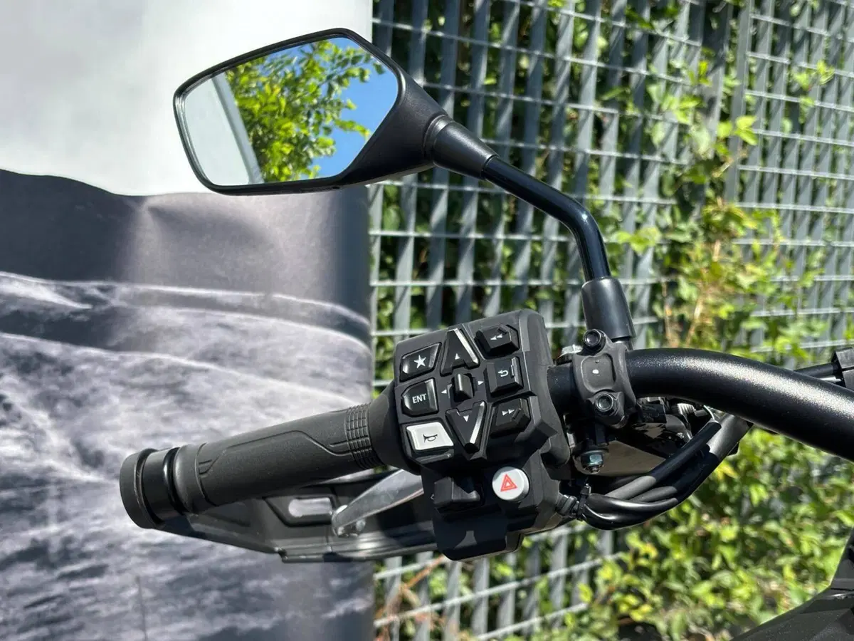 Honda Africa Twin CRF 1100L (2024 - 26) (10)