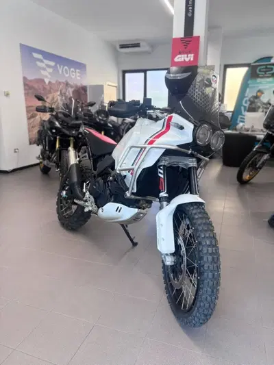 Ducati DesertX (2022 - 25) usata