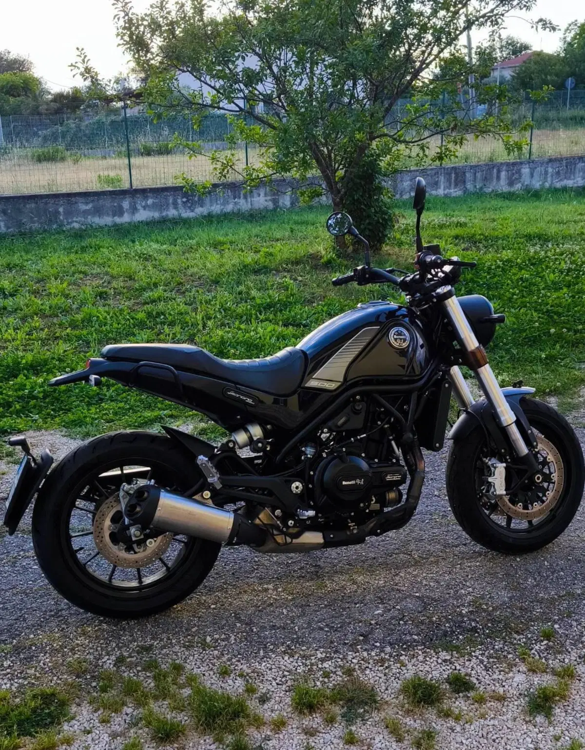 Benelli Leoncino 500 (2021 - 25)