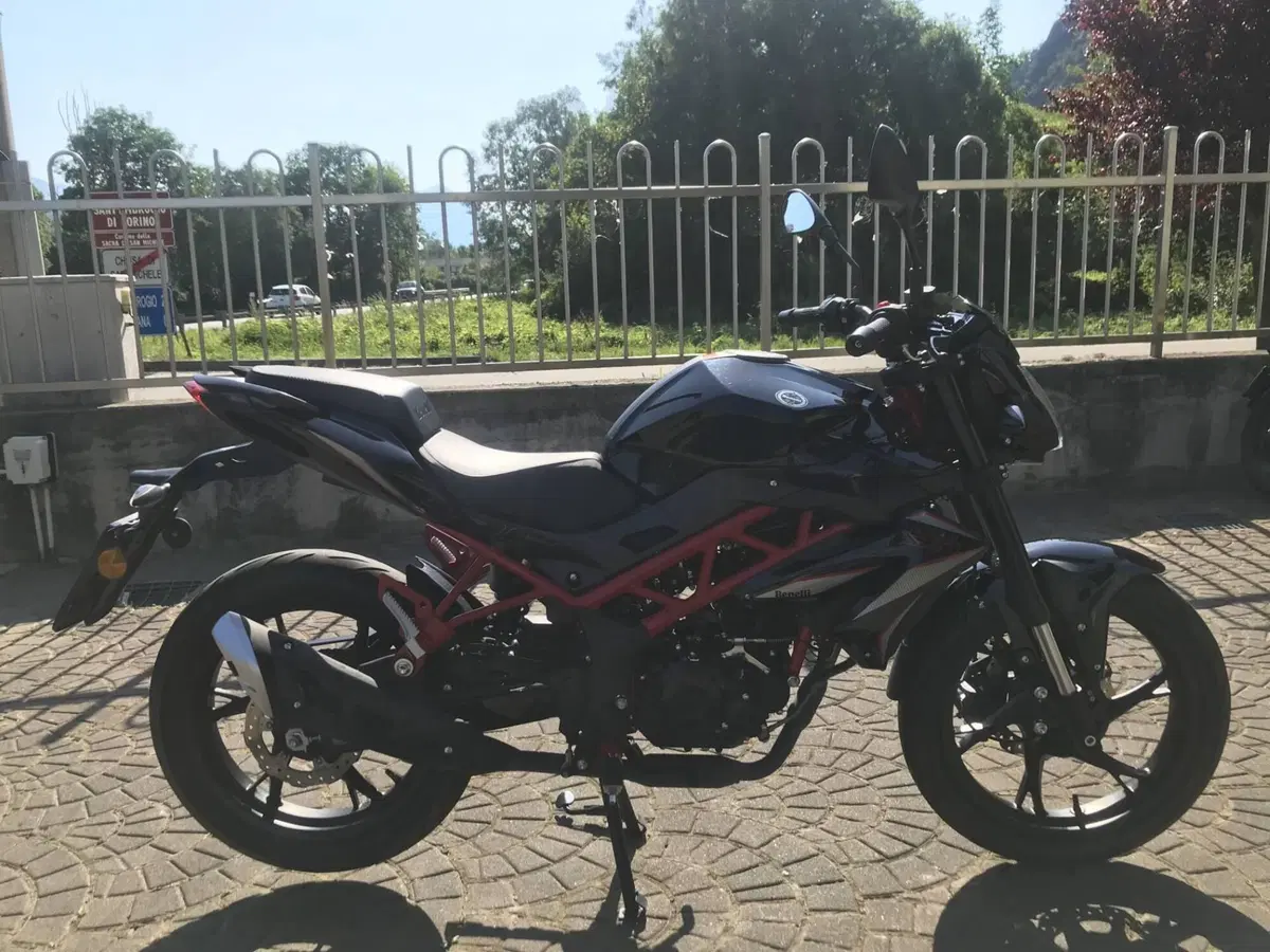 Benelli BN 125 (2021 - 25) (2)
