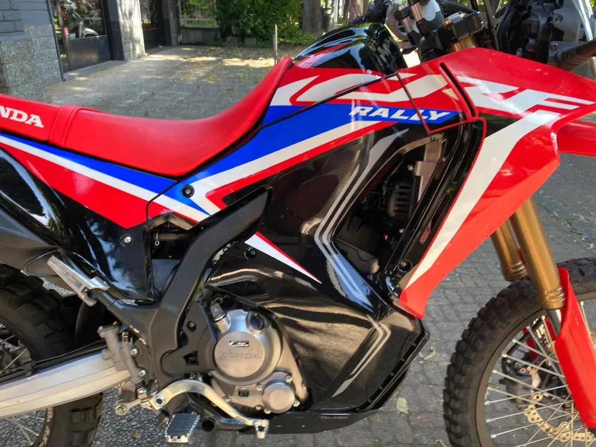 Honda CRF 300 Rally (2021 - 24) (2)