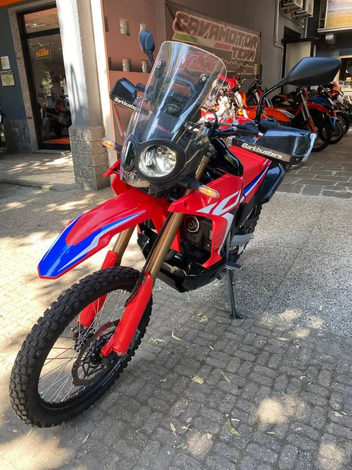 Honda CRF 300 Rally (2021 - 24) (5)