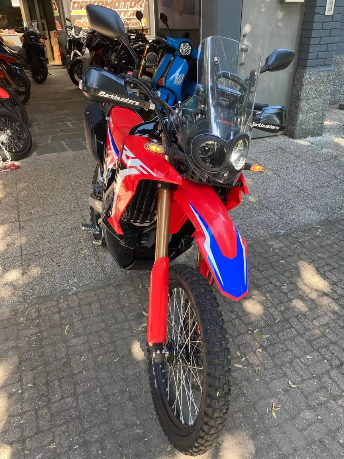 Honda CRF 300 Rally (2021 - 24) (9)