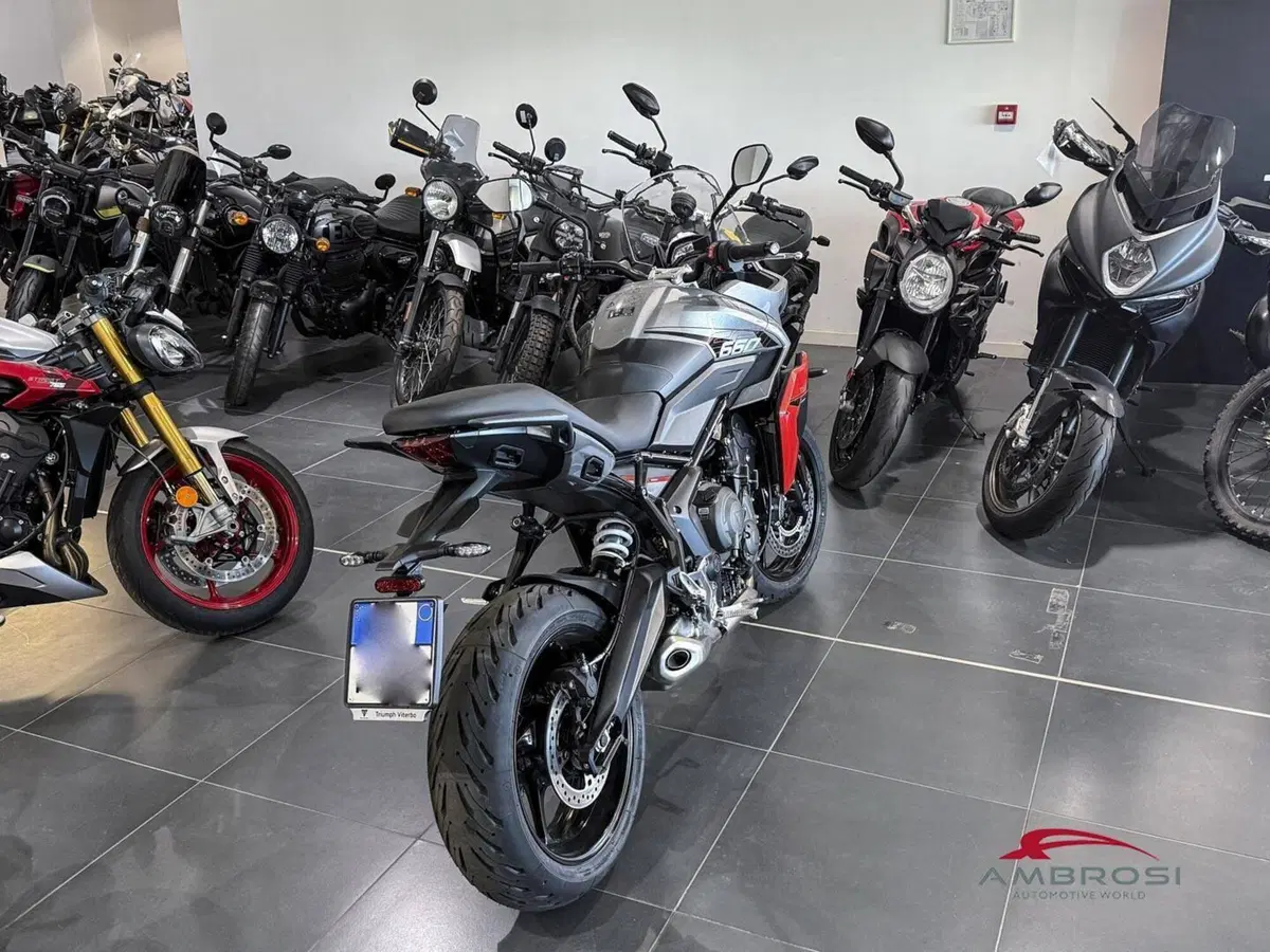 Triumph Tiger Sport 660 (2026) (4)