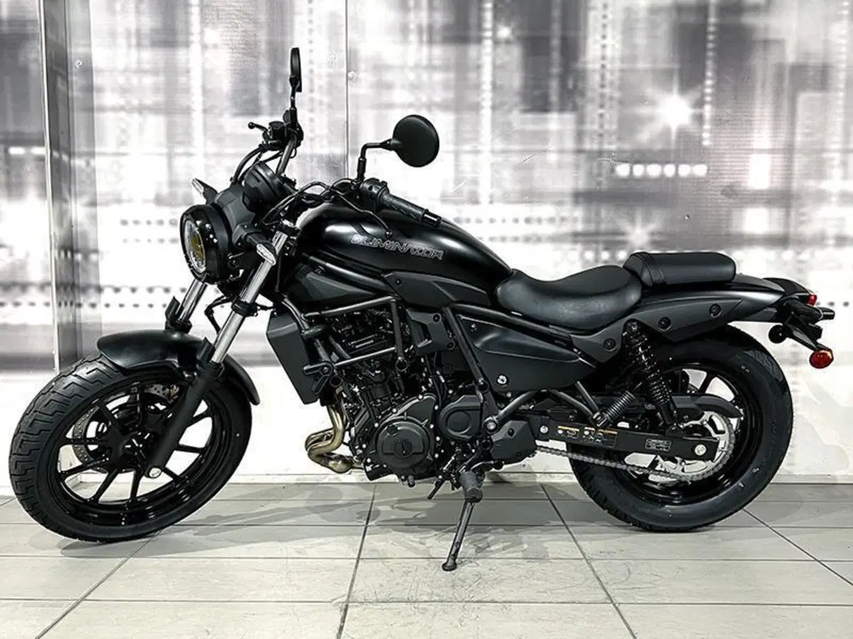 Kawasaki Eliminator 500 (2024 - 26) (6)
