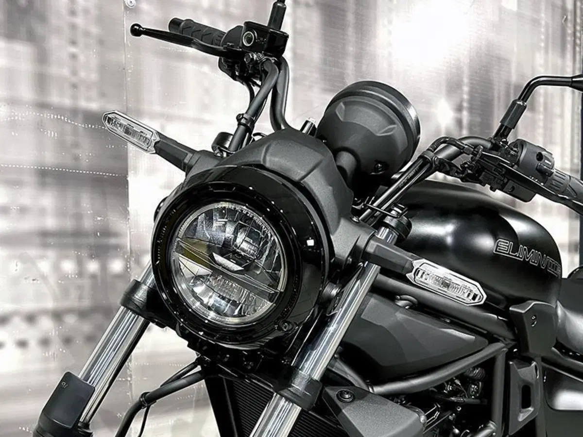 Kawasaki Eliminator 500 (2024 - 26) (8)