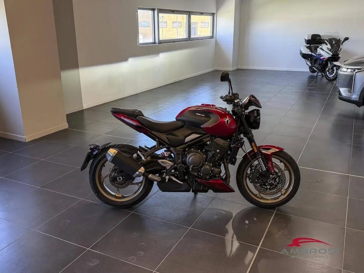 Triumph Trident 800 (2026) (2)