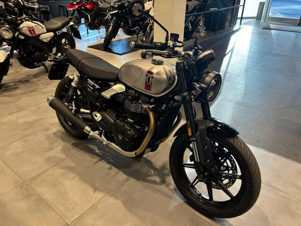 Triumph Speed Twin 900 (2025 - 26) (2)