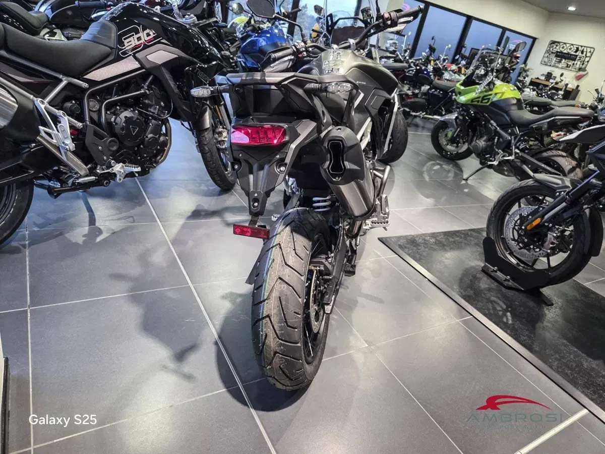 Triumph Tiger 900 Rally Pro (2024 - 26) (3)