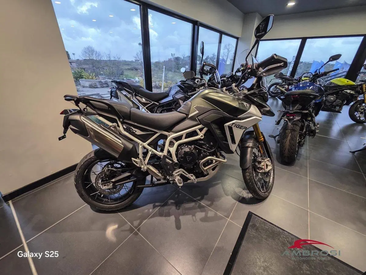 Triumph Tiger 900 Rally Pro (2024 - 26) (2)