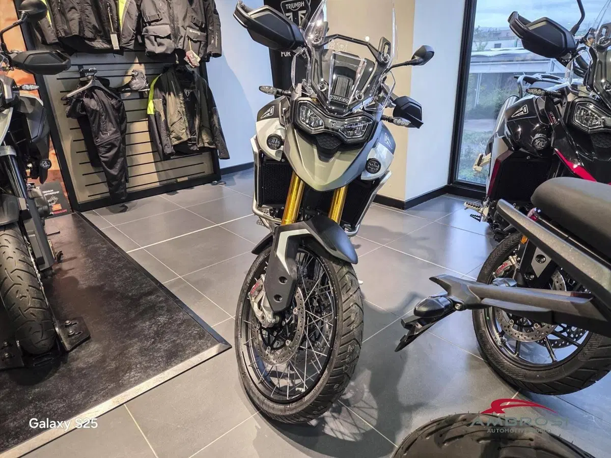 Triumph Tiger 900 Rally Pro (2024 - 26) (4)