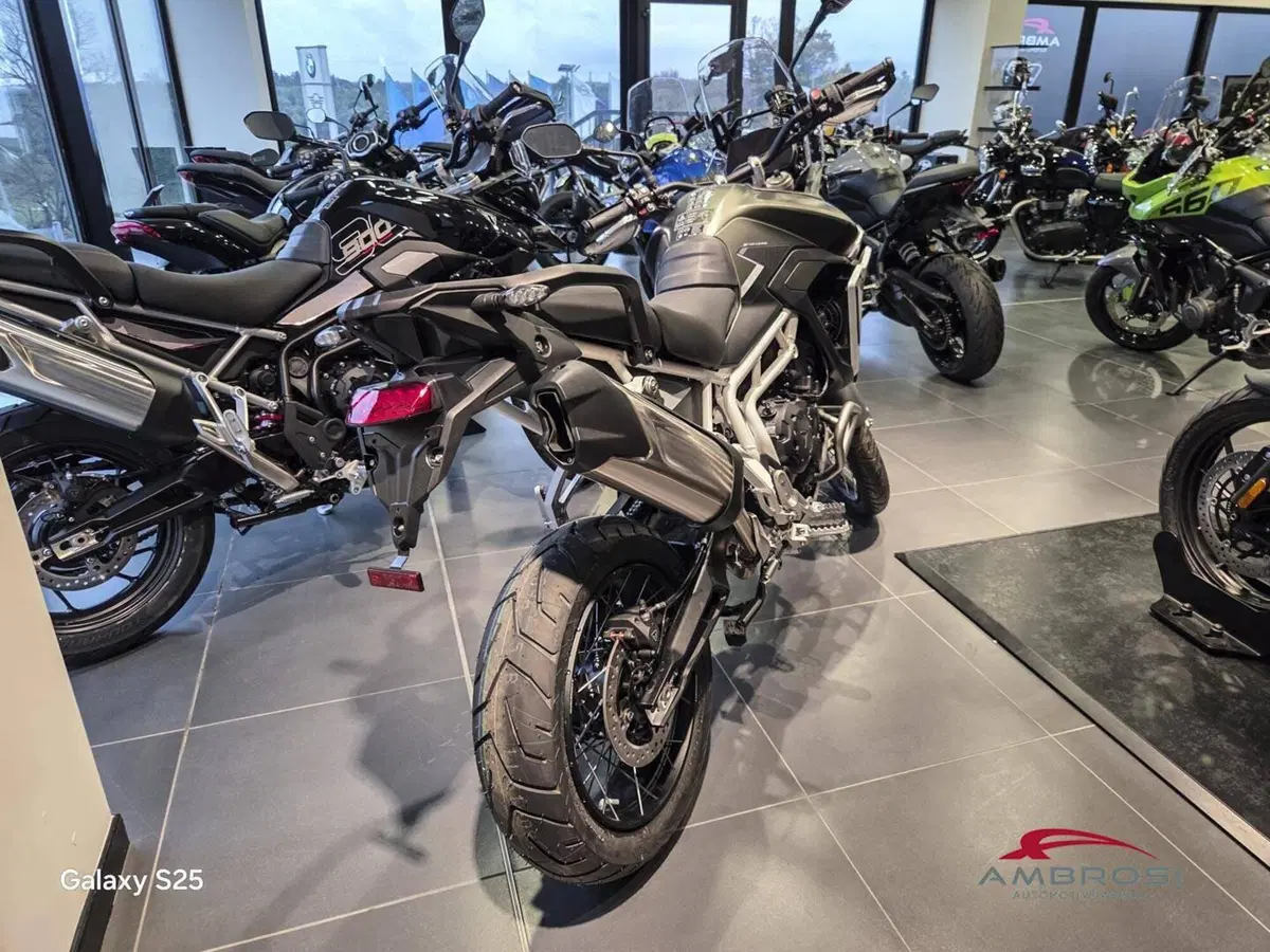 Triumph Tiger 900 Rally Pro (2024 - 26) (5)