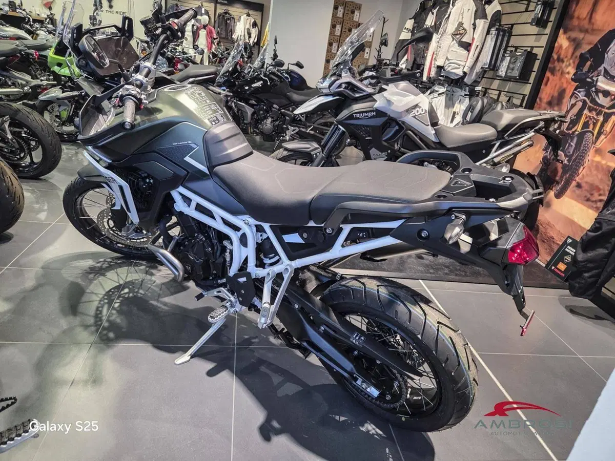 Triumph Tiger 900 Rally Pro (2024 - 26) (6)