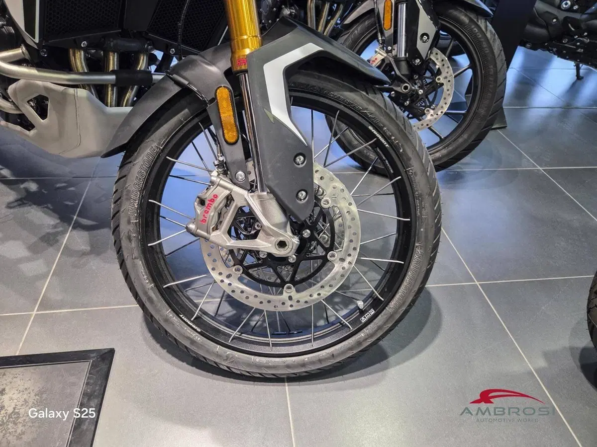 Triumph Tiger 900 Rally Pro (2024 - 26) (7)