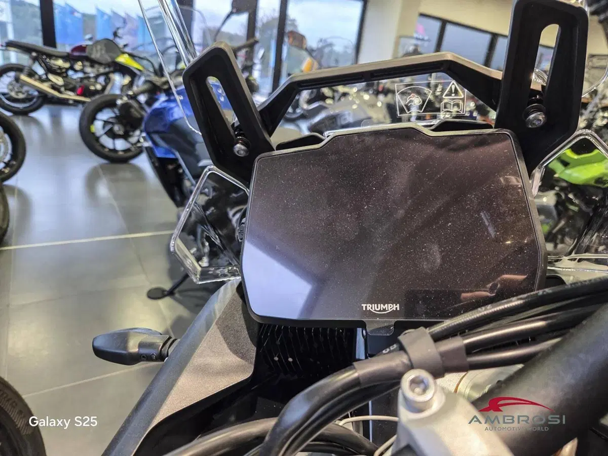 Triumph Tiger 900 Rally Pro (2024 - 26) (8)