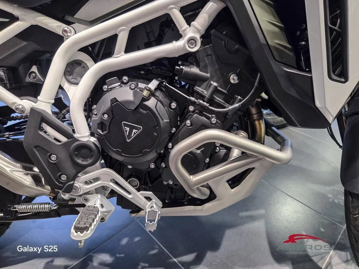 Triumph Tiger 900 Rally Pro (2024 - 26) (9)