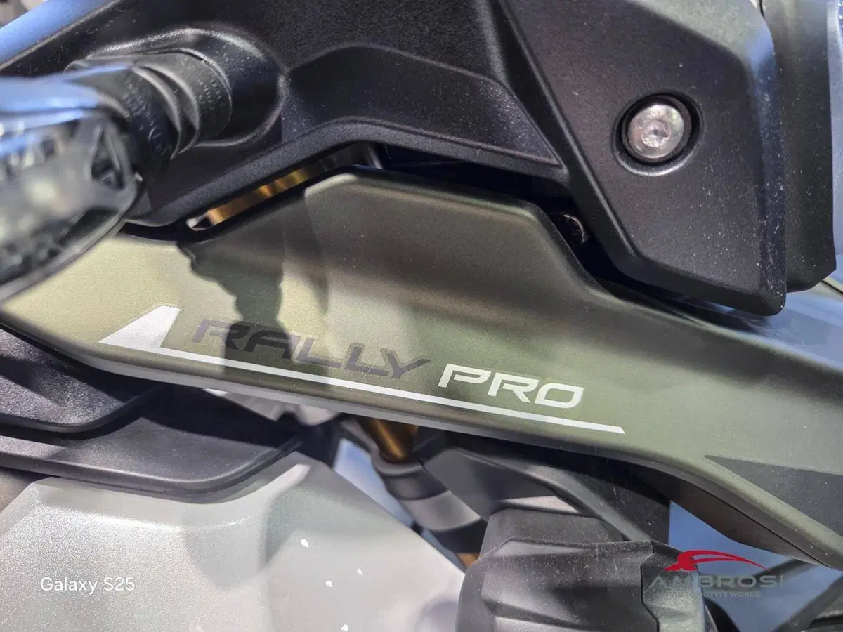 Triumph Tiger 900 Rally Pro (2024 - 26) (10)