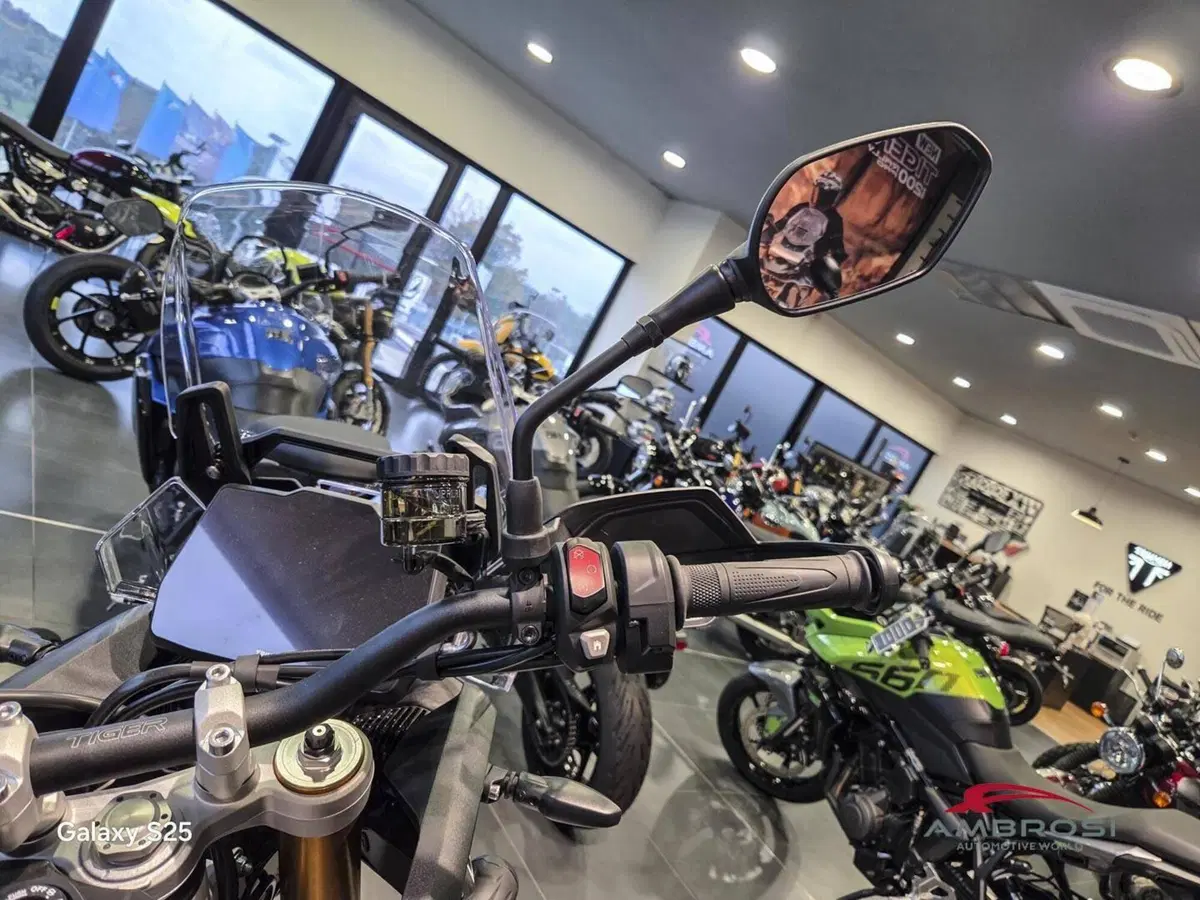 Triumph Tiger 900 Rally Pro (2024 - 26) (11)