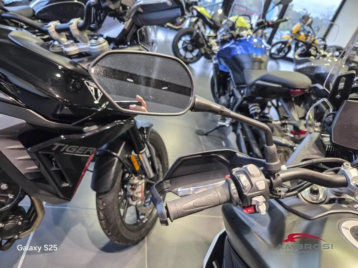 Triumph Tiger 900 Rally Pro (2024 - 26) (12)