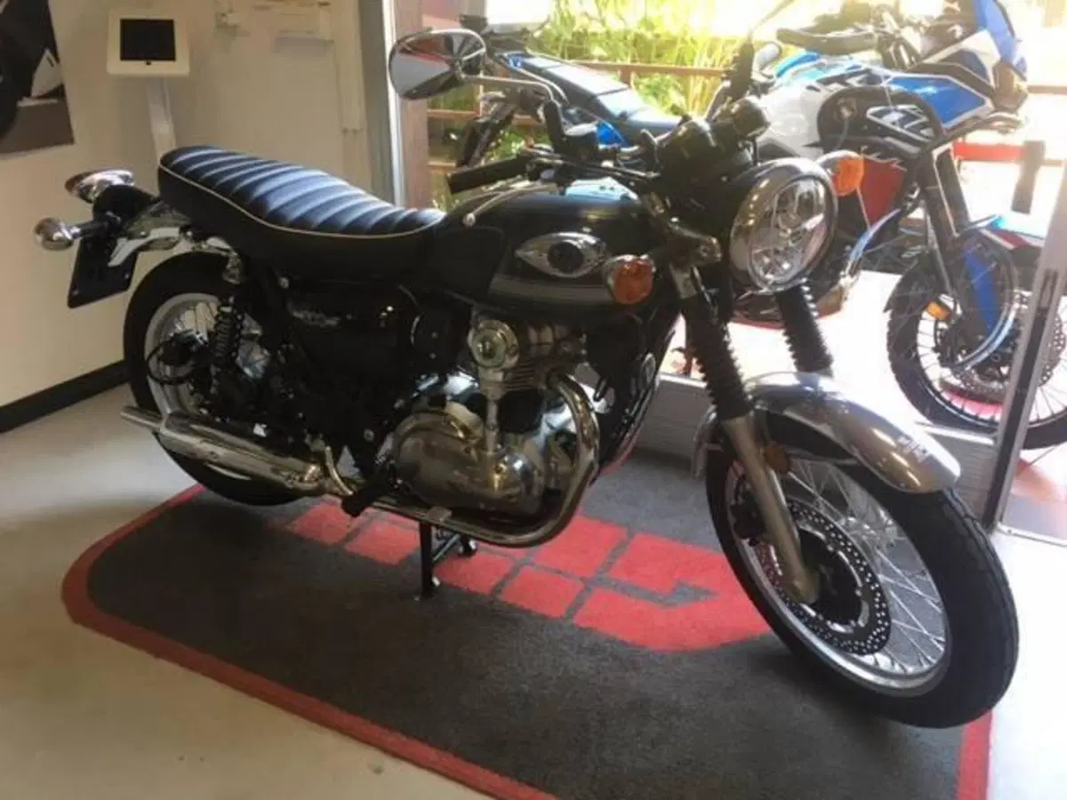 Kawasaki W 800 (2021 - 26) (2)