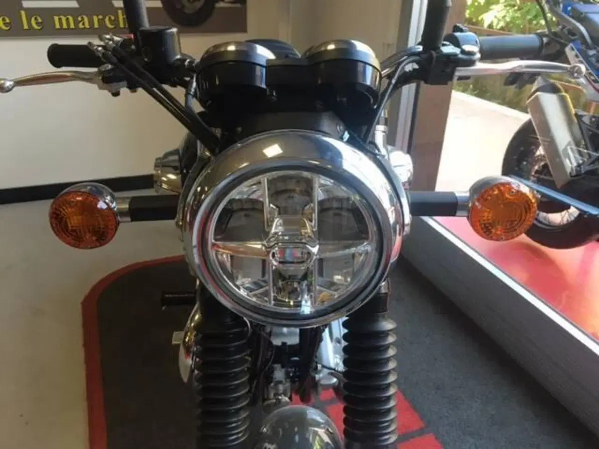Kawasaki W 800 (2021 - 26) (5)
