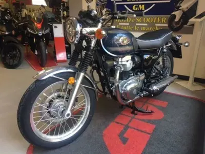 Kawasaki W 800 (2021 - 26) usata
