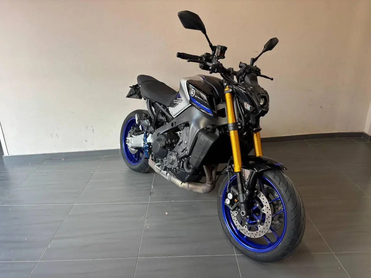 Yamaha MT-09 SP (2021 - 23) (6)