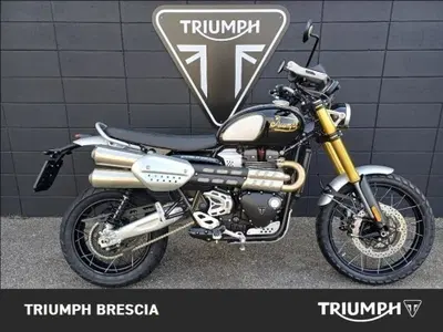 Triumph Scrambler 1200 XE Icon Edition (2025 - 26) usata