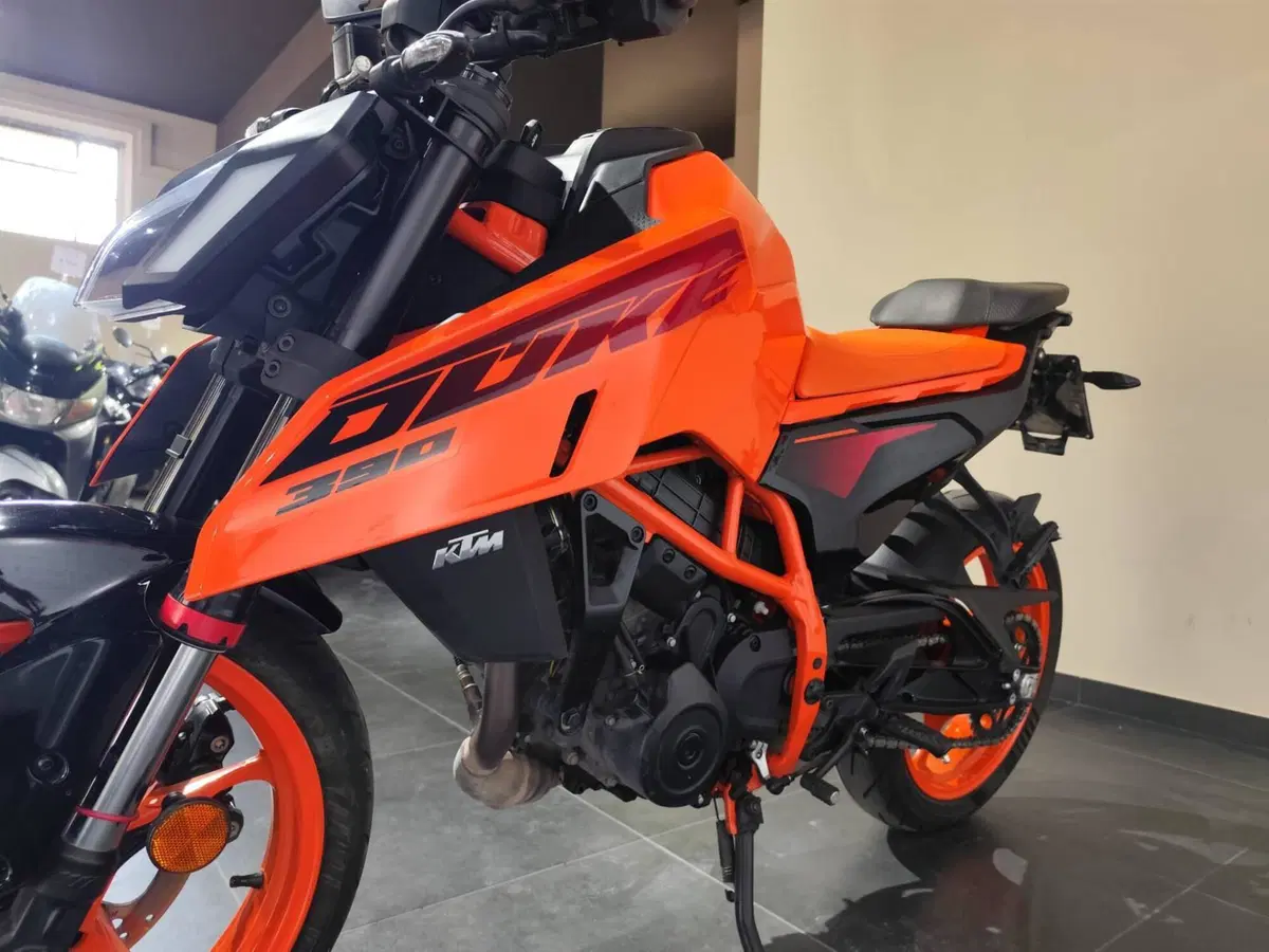 KTM 390 Duke (2024 - 25) (5)